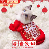 BESTRONG 贝初众 猫咪衣服