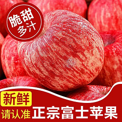 美水乐虹 正宗陕西红富士苹果水果冰糖心时令丑苹果生鲜水果 5斤大果装 单果190g+ 净重4.5斤