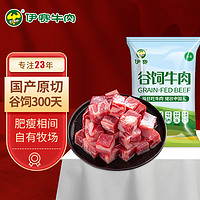 yisai 伊赛 西门塔尔牛腩块 500g