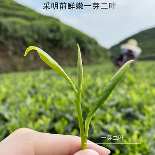 羽信 茉莉花茶茶叶 四川花毛峰 四川雅安蒙顶山茶 自饮大袋装 500克