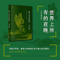 世界上所有的夜晚（茅盾文学、鲁迅文学得主迟子建小说亲选集，本书获得鲁迅文学）