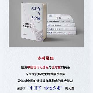 大汇合与大分流 大变局下的中国现代化 郑永年  浙江人民出版社 9787213109942 新华文轩 图书