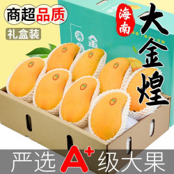 枝头春 海南金煌芒水仙芒果新鲜水果当季礼盒热带水果带箱 8斤大果200-300g+