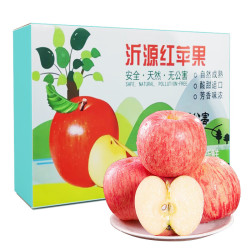 鲁中老农山东红富士苹果水果15粒礼盒装果径7075mm脆甜新鲜中秋礼盒