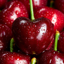 菲农海外直采智利进口车厘子1斤4j单果3032mm精品大果新鲜水果