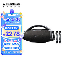 W-King 维尔晶 D20手提音响大功率户外直播唱歌乐器蓝牙音箱防水低音炮无线话筒追剧震撼动听双话筒