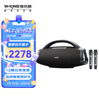 W-King 维尔晶 D20手提音响大功率户外直播唱歌乐器蓝牙音箱防水低音炮无线话筒追剧震撼动听双话筒