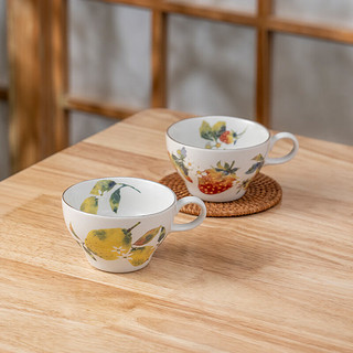 美浓烧（Mino Yaki）日式陶瓷杯子个性手绘创意家用大容量马克杯套装女对杯 花语对杯礼盒 350ml