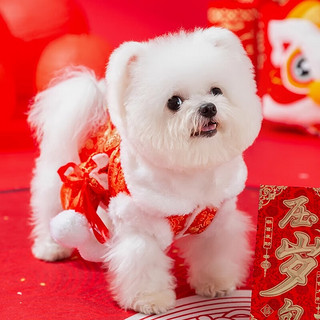 嬉皮狗（hipidog）新年福包小狗狗衣服冬季比熊泰迪小型犬冬宠物秋冬款过年挎包棉衣 虎头挎包 XL （11-15斤）