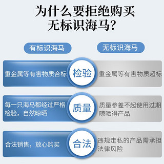 祁晓风 海马药材 大型海马公母一对 干海马干货海龙药材组合泡酒药材 1对2只（共大于2g）