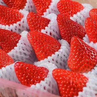 莫小仙 新鲜现摘 红颜99草莓 2.5斤装 特大果30-50g