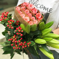 家顺 随机颜色玫瑰5支 云南昆明基地直发