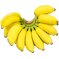 立始广西小米蕉新鲜香蕉粉糯香蕉酸甜小香蕉现青色现发特产 4.5斤 (2份合发8.5-9斤)