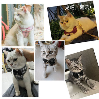 MRQIM 启萌先生 牵引绳伸缩猫咪牵引绳背心式猫绳遛猫宠物兔胸背可调节猫项圈猫绳