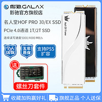 影驰名人堂HOF PRO 1T 2T硬盘 固态台式电脑m2笔记本SSD固态硬盘