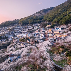 春天去四明山赏花吧，周末清明不加价！宁波余姚伯瑞特酒店 高级大床房1晚含双早套餐