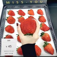 今日秒杀!正宗丹东红颜99草莓 1.5斤彩箱装