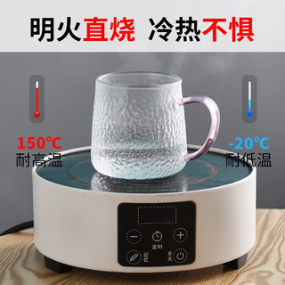 唯铭诺 锤纹玻璃杯家用泡茶杯耐热加厚喝水杯带把啤酒杯子套装 四色300ML
