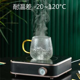 唯铭诺 锤纹玻璃杯家用泡茶杯耐热加厚喝水杯带把啤酒杯子套装 四色300ML