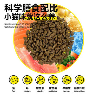 RAMICAL 雷米高 蓝猫美短布偶流浪猫通用型澳丽得猫粮500g