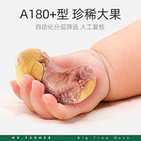 xinnongge 新农哥 大颗粒紫皮腰果150g原味紫衣盐焗越南坚果仁零食官方旗舰店