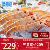 粤海湾 刺身级爱尔兰鳌虾 深海鳌虾刺身1000g 螯虾生鲜虾类 年货送礼 1号8-12只