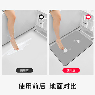 硅藻泥吸水垫卫生间浴室地垫防滑厕所门口脚垫吸水板入户门洗手间