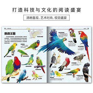 中国少儿百科知识全书 第1辑 神奇的鸟类(小7-10岁一年级二年级阅读十万个为什么儿童科学科普大百科全书）