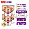 HALO 自然光环 鸡肉主食狗罐374g*6