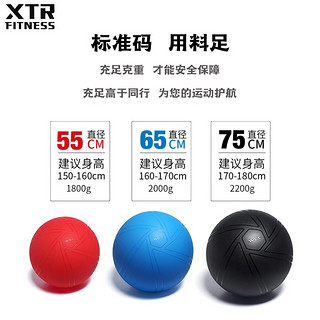 XTR Fitness 瑜伽球球加厚防爆助产大龙球儿童感统训练大号 樱花粉3.0 55cm（身高150~160cm）