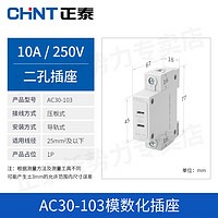 正泰模块插座导轨式模数化轨道配电箱插座插头 两孔10A插座（AC30-103）