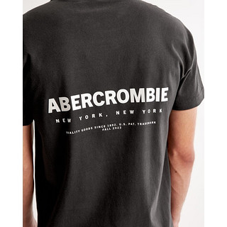 Abercrombie & Fitch 男装女装 美式复古休闲装宽松Logo圆领短袖T恤 329148-1 深灰色 XL (180/116A)