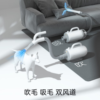 REDMINUT 宠物吹水机狗狗吹风机猫咪洗澡烘干家用吸毛器