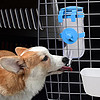 波奇多 滚珠式饮水器350ml挂式宠物喝水猫狗航空箱水壶笼子喝水器不湿嘴