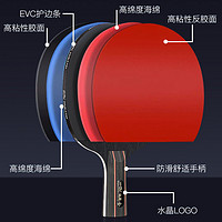 88VIP：DOUBLE FISH 双鱼 乒乓球拍套装双面反胶高弹力