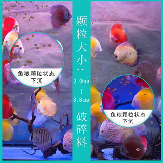 海豚PORPOISE七彩神仙鱼饲料2mm小颗粒 增色增艳鱼食 小型热带鱼饲料沉底型 七彩神仙鱼饲料 160g/瓶