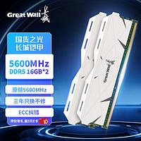 Great Wall 长城 32G(16G*2)套条 DDR5 5600 马甲条 台式机内存条
