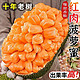 进口 越南红肉菠萝蜜 8-10斤整个