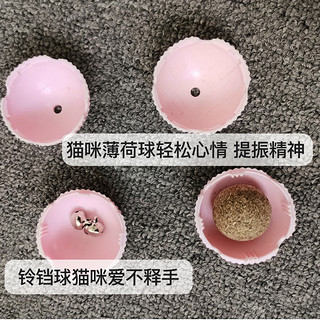 杭伊宠物 猫咪玩具羊毛球猫狗玩的球彩虹毛线球逗猫球宠物耐咬耐抓猫咪用品