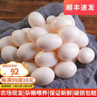 品鲜夫人新鲜鸽子蛋农家精选特产杂粮喂养信鸽白鸽蛋儿童宝宝土鸽蛋 20枚新鲜鸽蛋
