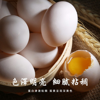 品鲜夫人新鲜鸽子蛋农家精选特产杂粮喂养信鸽白鸽蛋儿童宝宝土鸽蛋 20枚新鲜鸽蛋