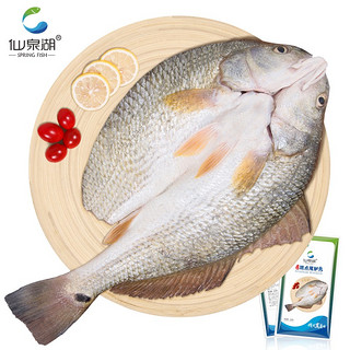 仙泉湖 斑点尾鲈鱼 500g