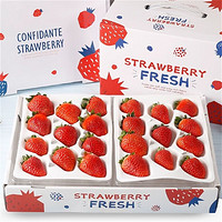 柚萝 特价10000盒 红颜99草莓 1盒礼盒装（20粒单盒净重300g+）