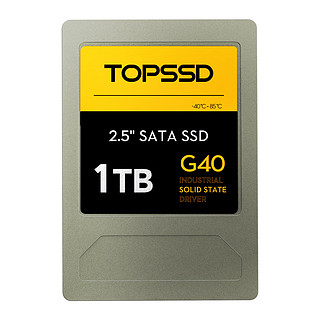 天硕(TOPSSD) G40系列 工业级 宽温国产化 2.5