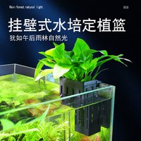 鱼缸绿植固定架壁挂式种植蓝水草杯造景绿植壁挂水生种绿萝红薯苗