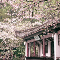 含一堆不加价&历史低价！ 重点关注包邮区+香港！携程318春促首波精选好货