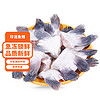 有鱼妖 鱼鳍 250g 新鲜鮰鱼鳍水产品鱼副产品