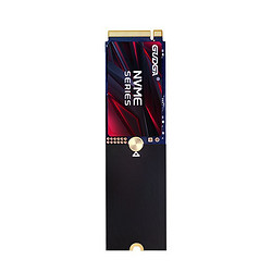 GUDGA 固德佳 M.2 NVMe 固态硬盘SSD 256GB PCle3.0