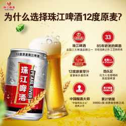 pearlriver珠江啤酒12度原麦小罐330ml小罐听装啤酒新鲜日期