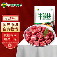 yisai 伊赛 谷饲 黄牛牛腩块 1kg